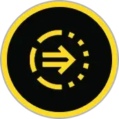 落ち着いた散歩