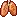 健康的