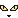 猫目