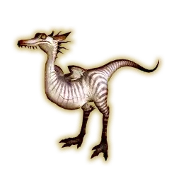 ラプトル種