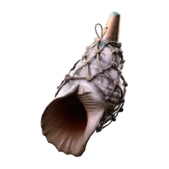 Conch Shell
