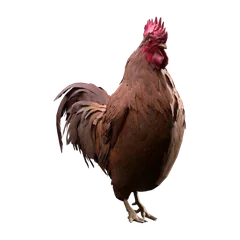ブラウン