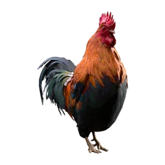 ウェルスマー