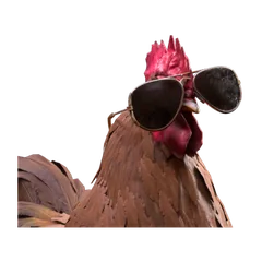 Aviator Glasses