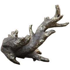 化石化した稲妻