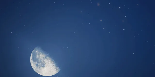 映画観賞会