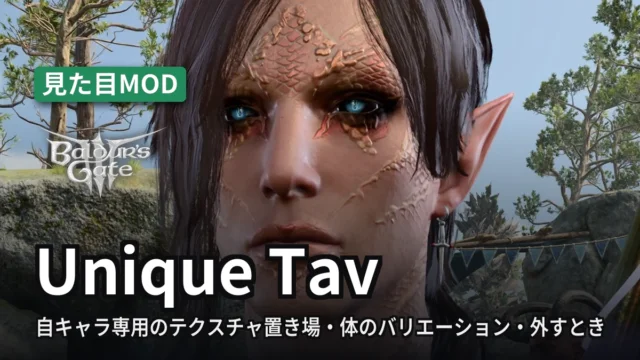 Baldur's Gate 3 Unique Tav