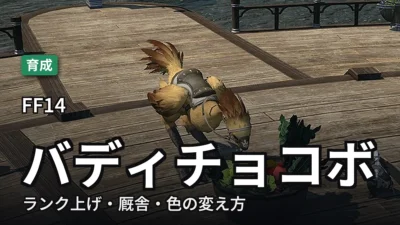 FF14 バディチョコボの育成