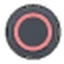 PS ○