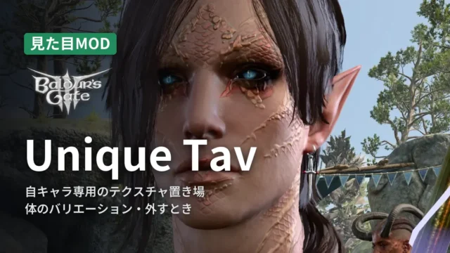 Baldur's Gate 3 Unique Tav