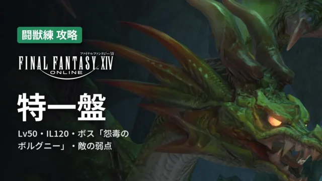 FF14 特一盤
