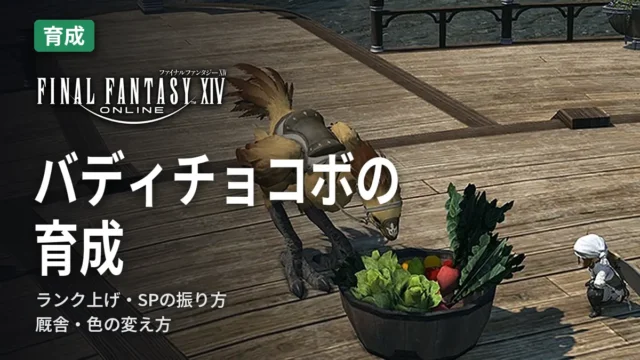 FF14 バディチョコボの育成
