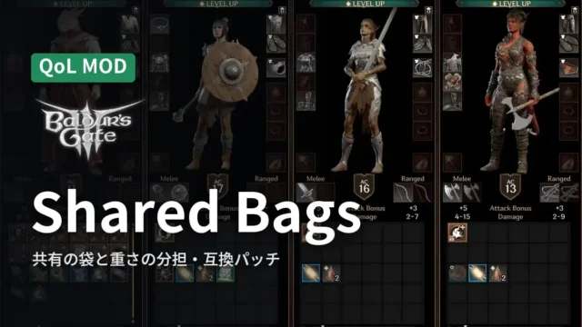 Baldur's Gate 3 Shared Bags for Your Party