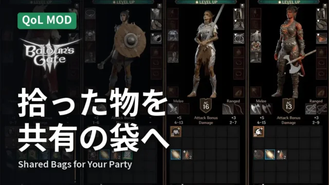 Baldur's Gate 3 Shared Bags for Your Party