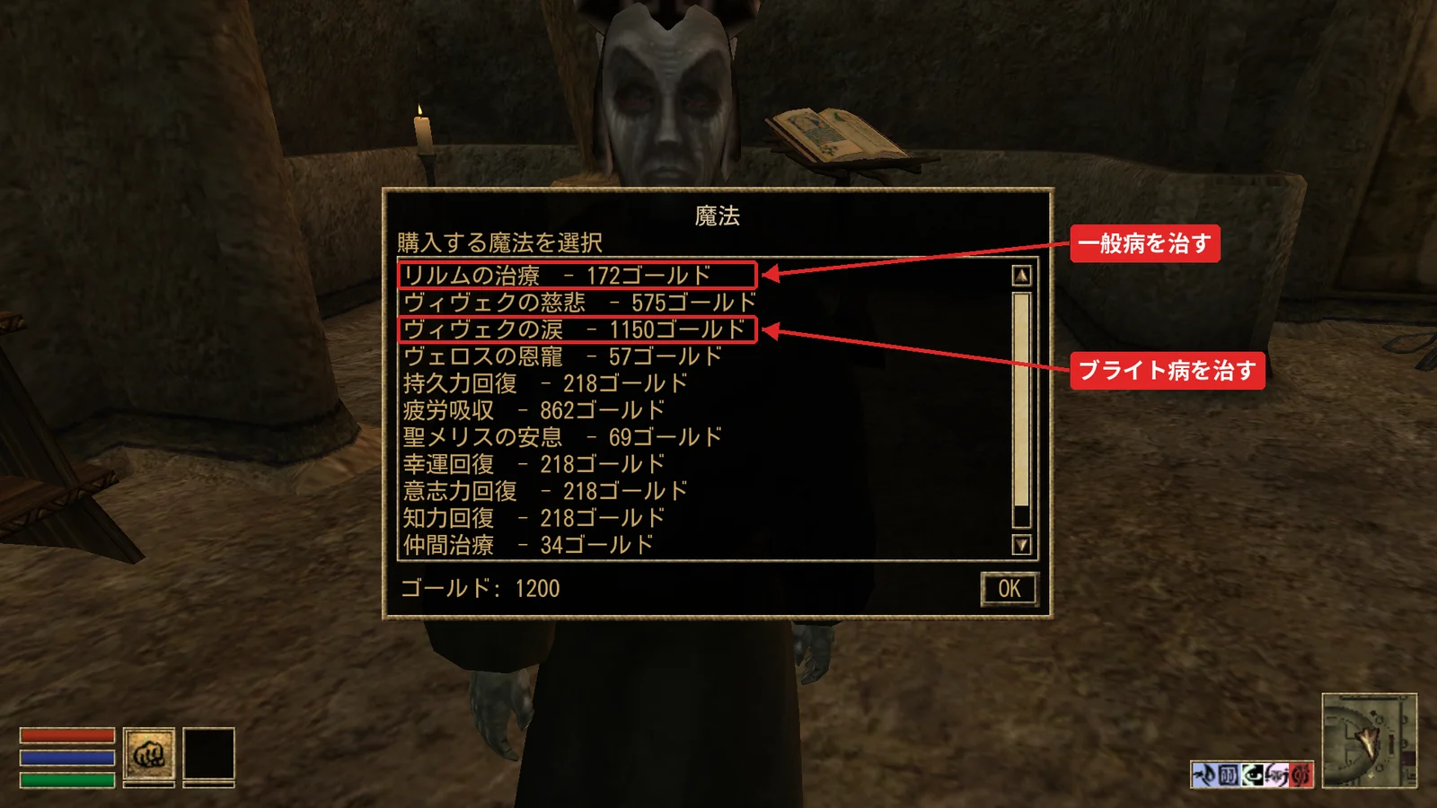 治癒師の魔法の購入画面。リルムの治療 172 ゴールド、ヴィヴェクの涙 1150 ゴールド