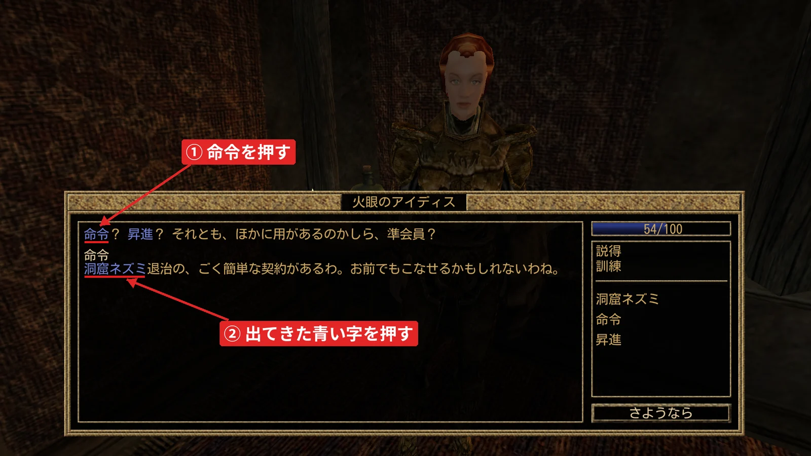 戦士ギルドの火眼のアイディスとの会話。本文の青い字「命令」を押すと、新しい青い字「洞窟ネズミ」が出る