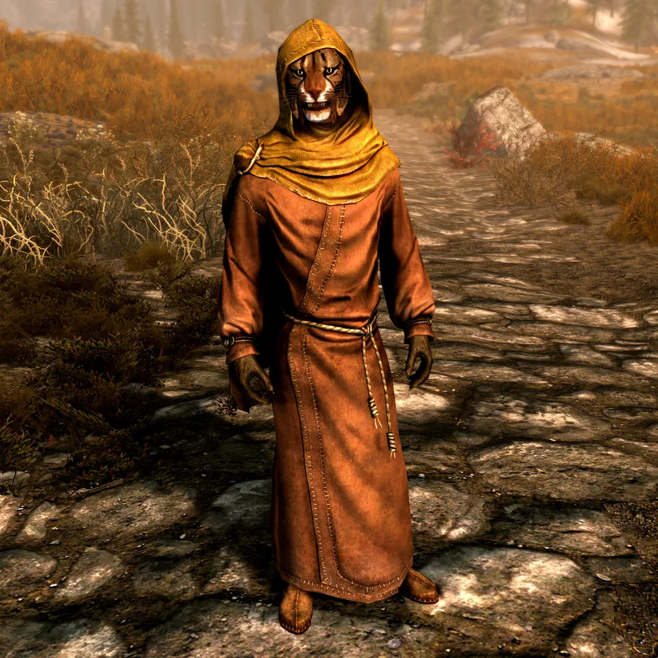 Skyrim のムアイク。フード付きの僧兵のローブ姿のカジート