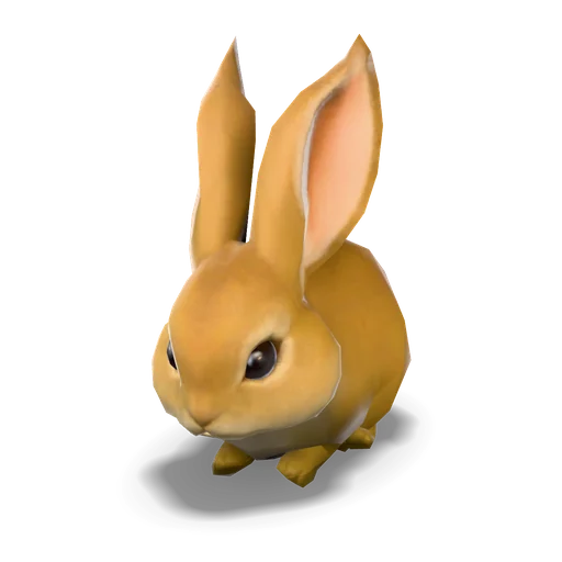 ドワーフラビット