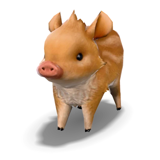 うり坊