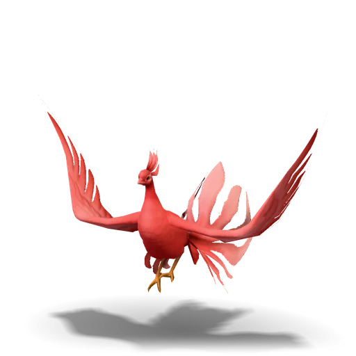 朱孔雀