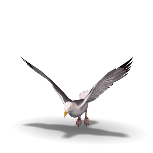 ガル