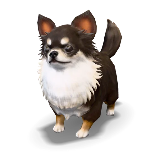 チワワン