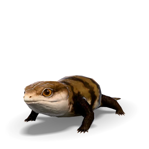 水道トカゲ