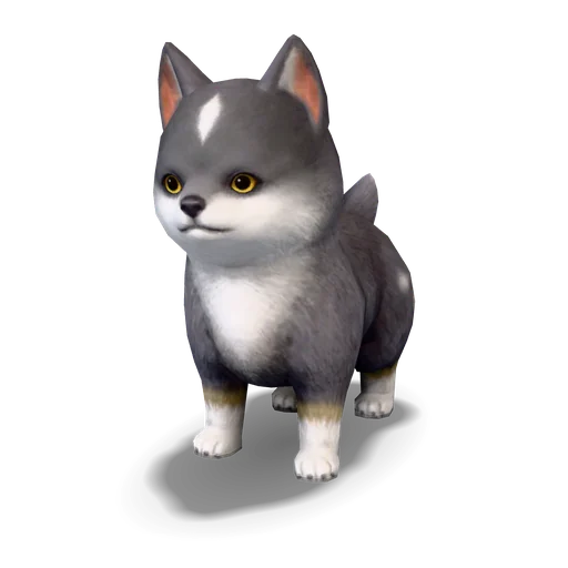 トルガル・パピー