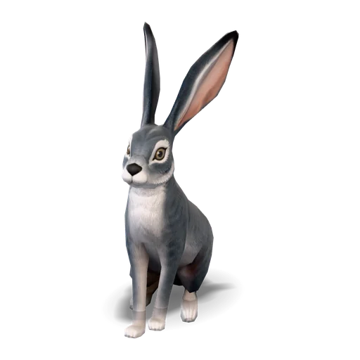 シャシュエ