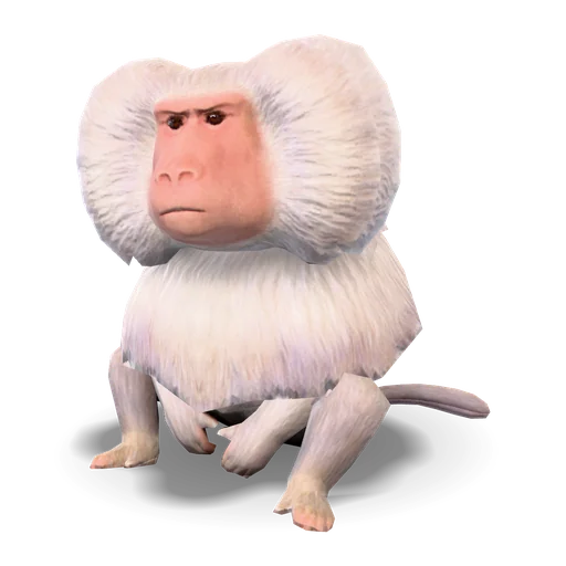 マントヒヒ