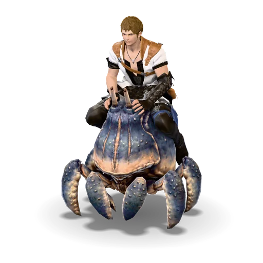 ビッグシェル